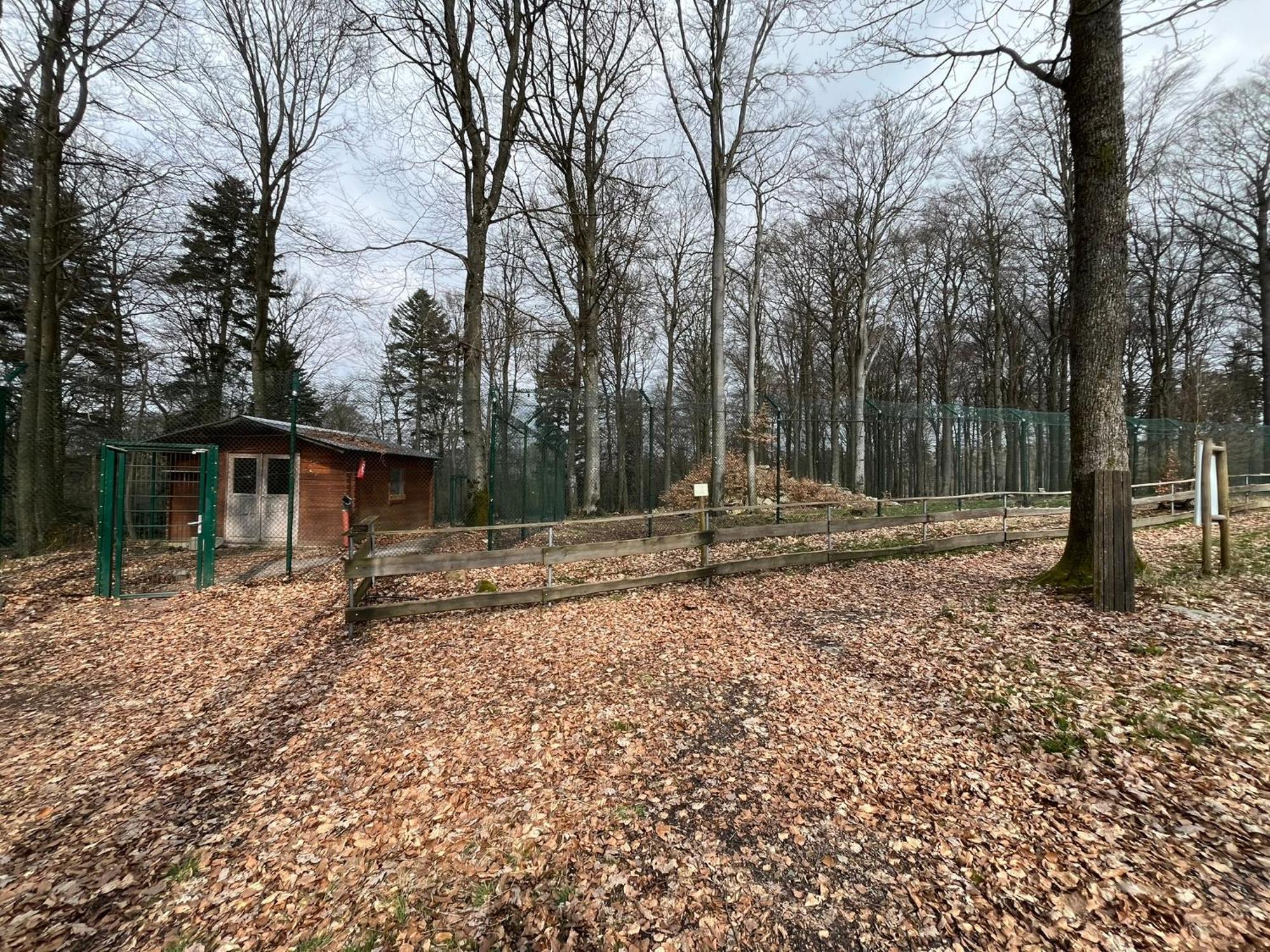 Hochwald Lodge モールバッハ エクステリア 写真